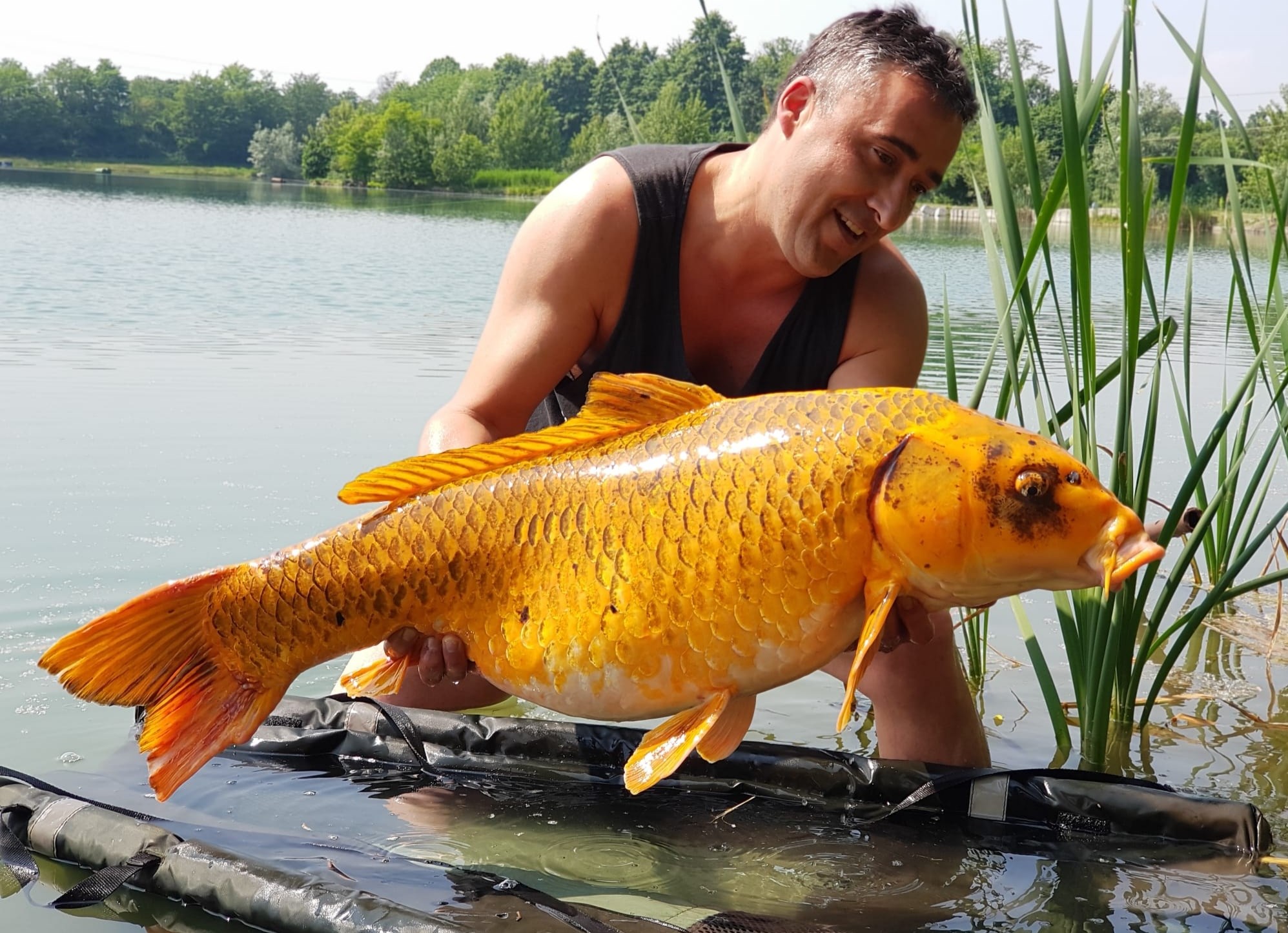 ISOLA DEL PESCATORE 21 - 22 mai 2020